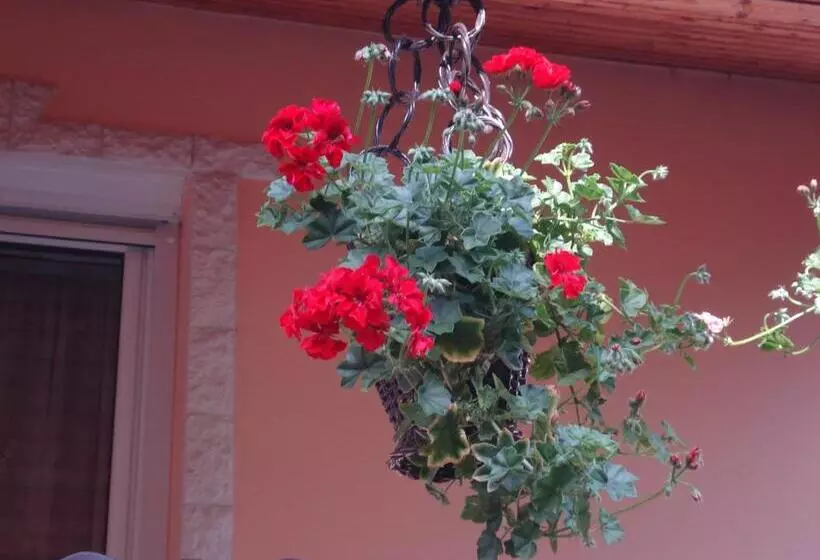 Majatalo Németh Vendégház