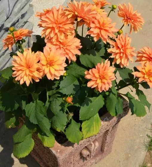 Majatalo Németh Vendégház