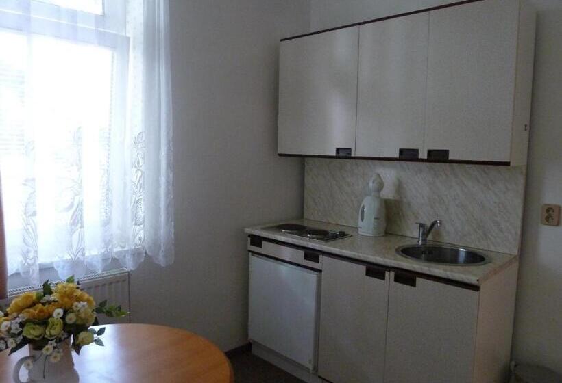 بنسيون Penzion Holiday