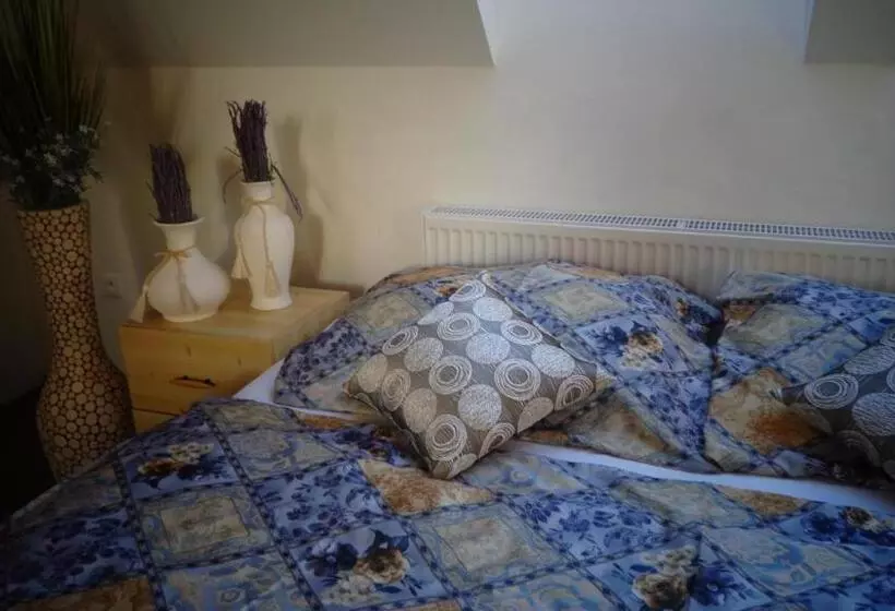 پانسیون Penzion Marriot