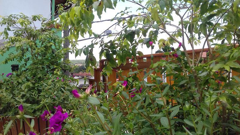 پانسیون Pouso D' Braga