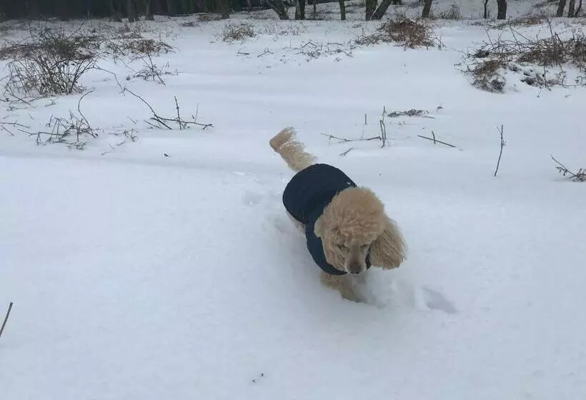 ペンション The Rufus House