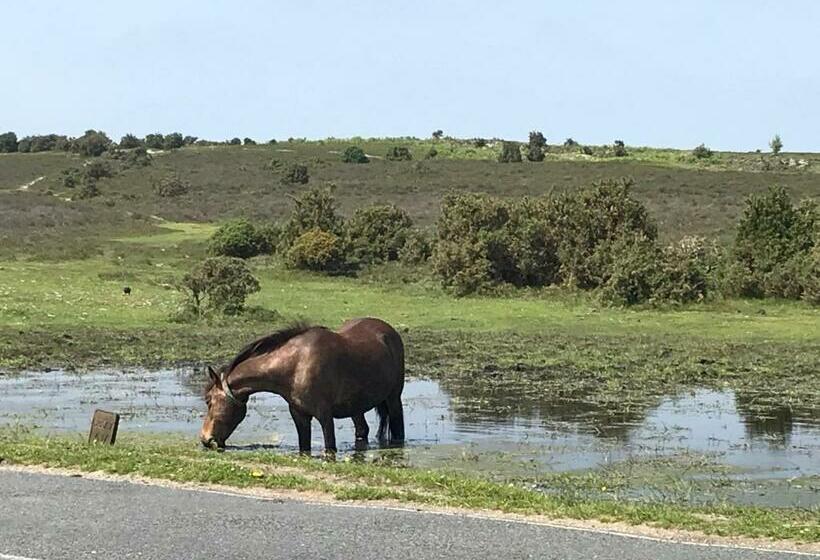 펜션 The Rufus House