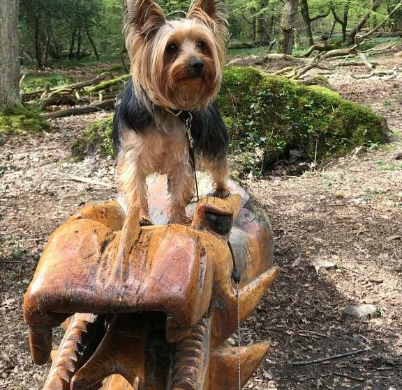 펜션 The Rufus House