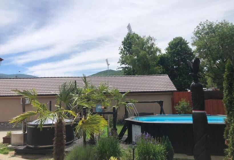 ペンション Viki Vendégház