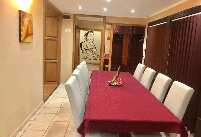 ペンション Viki Vendégház