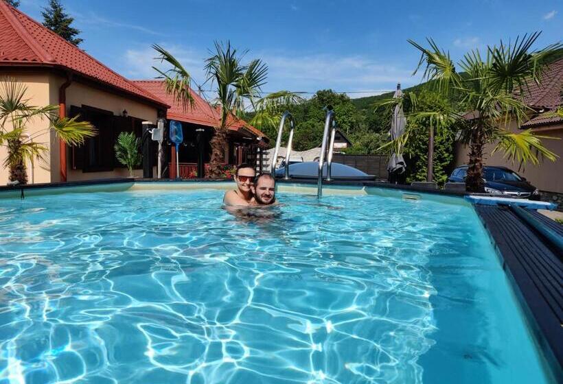 ペンション Viki Vendégház