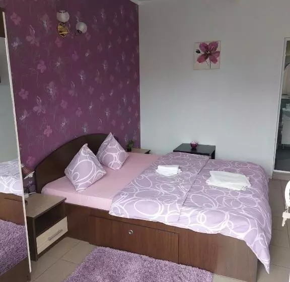 Majatalo Vila Alexandru