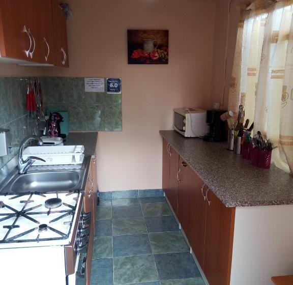 פנסיון Vila Alexandru