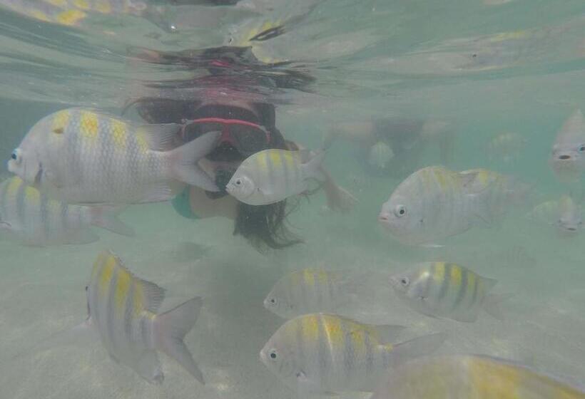 צימר Pousada Hibisco