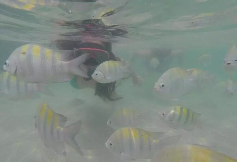 ベッドアンドブレックファースト Pousada Hibisco