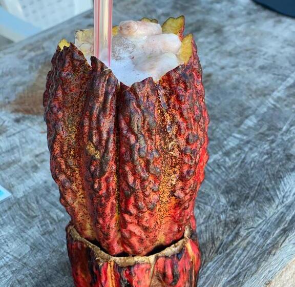 צימר Pousada Hibisco