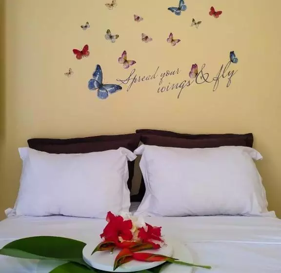 ベッドアンドブレックファースト Pousada Hibisco