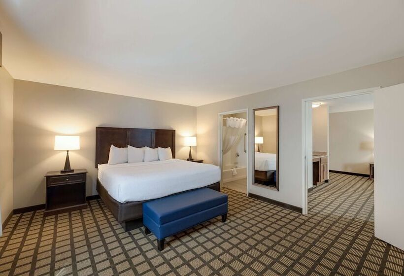 בית מלון כפרי Best Western North Bryant Inn San Angelo