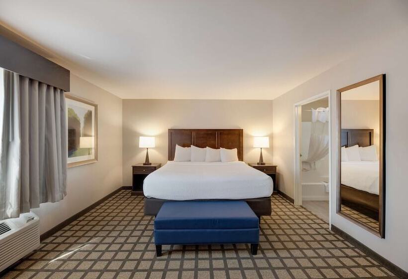 בית מלון כפרי Best Western North Bryant Inn San Angelo