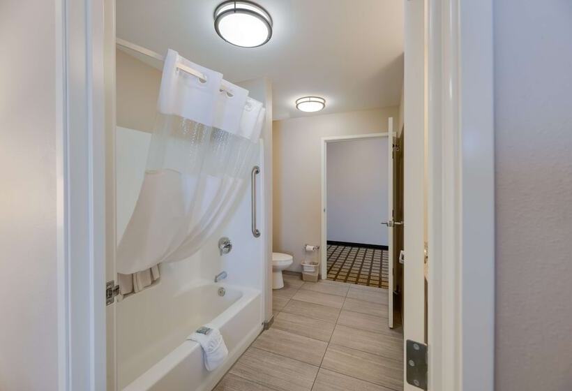 בית מלון כפרי Best Western North Bryant Inn San Angelo