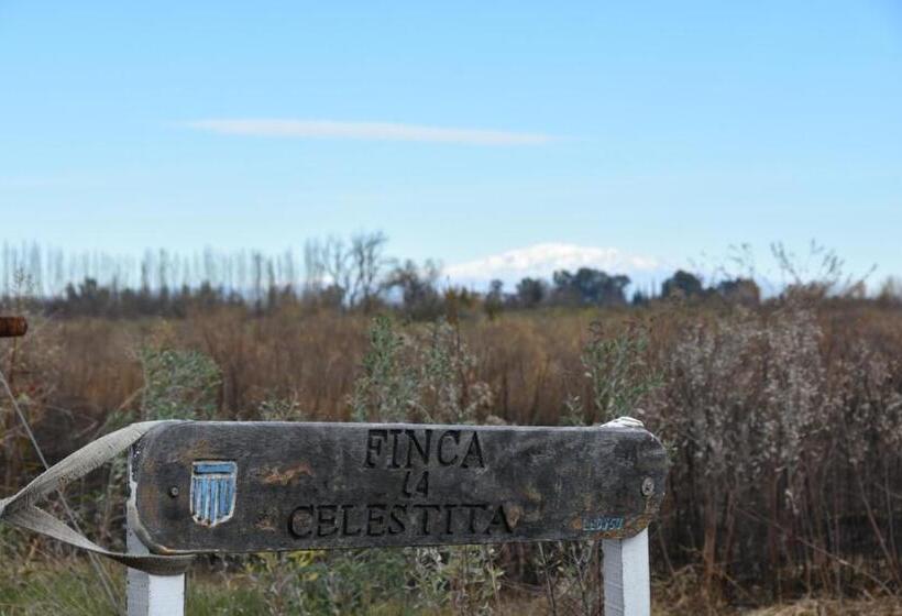 ホテル Finca La Celestita