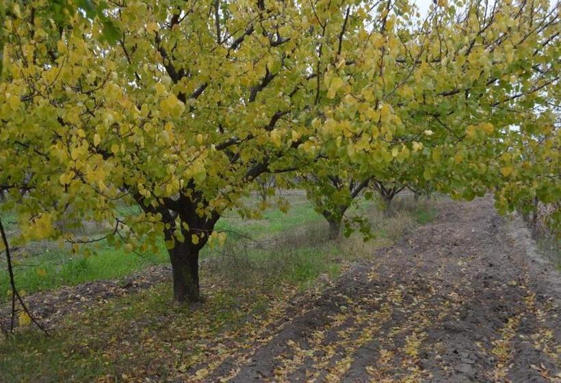 ホテル Finca La Celestita