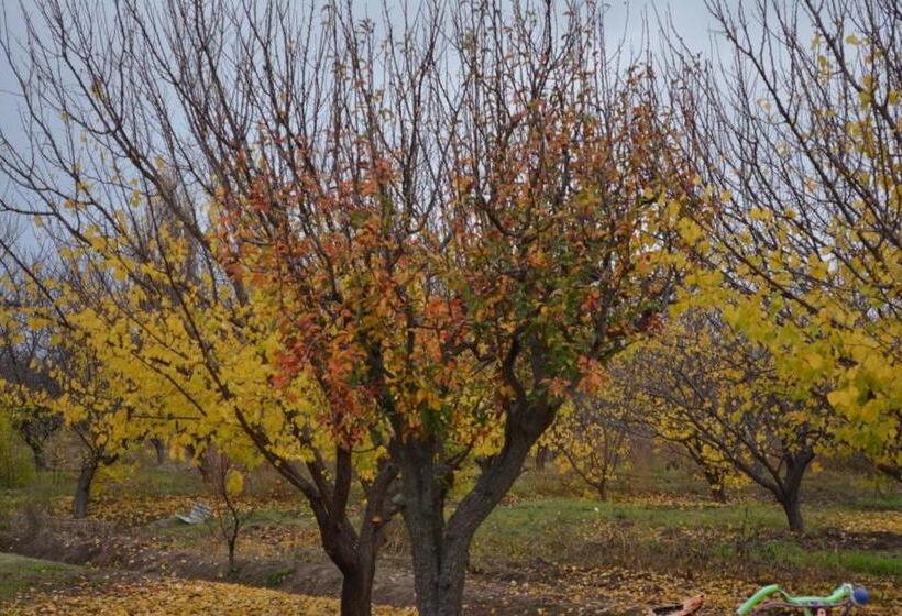 ホテル Finca La Celestita