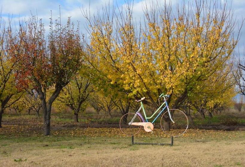 ホテル Finca La Celestita