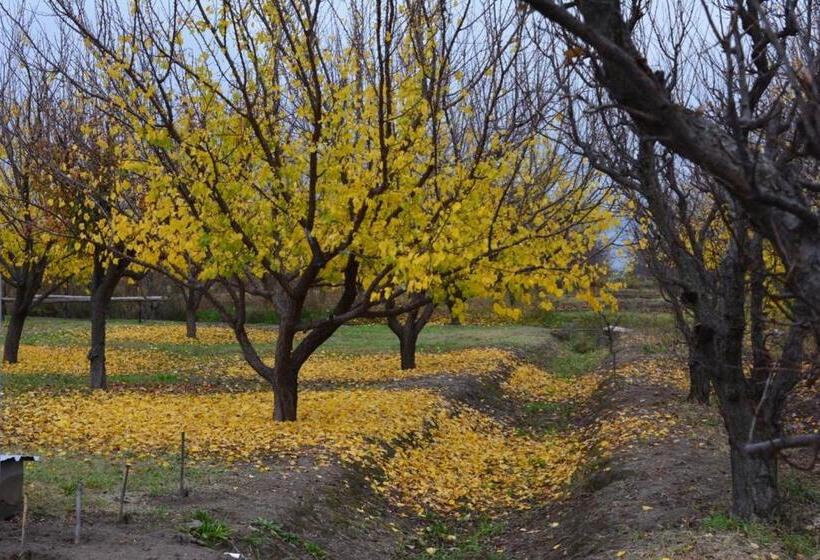 ホテル Finca La Celestita