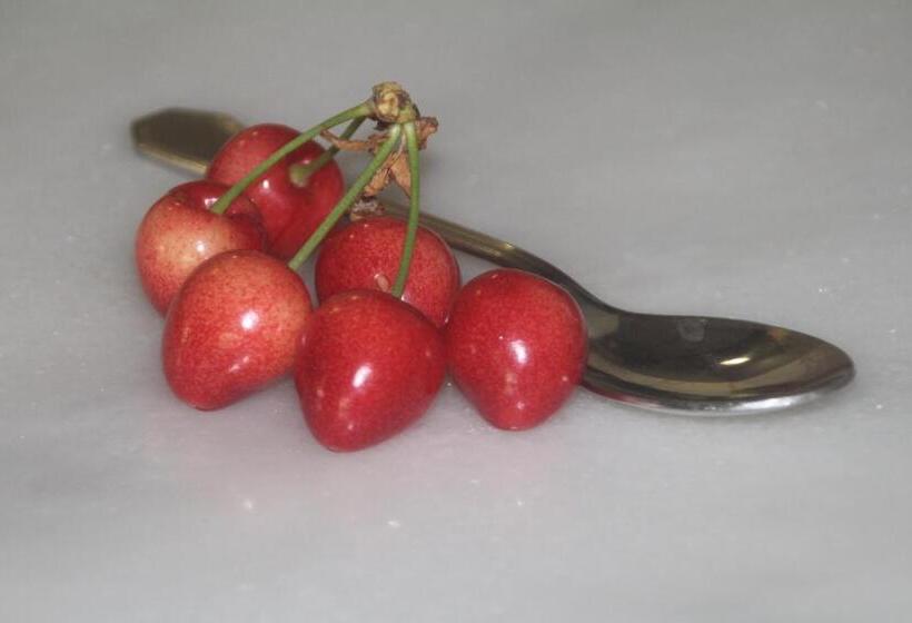 ホテル Finca La Celestita