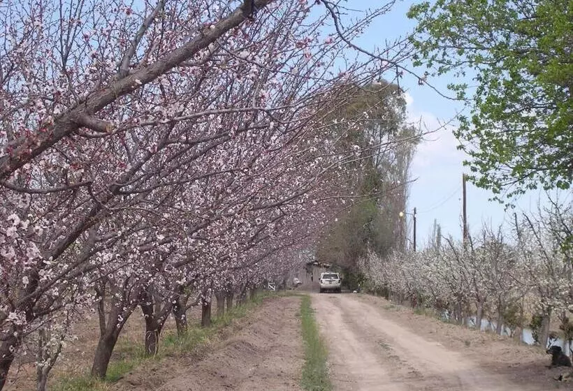 Hotelli Finca La Celestita