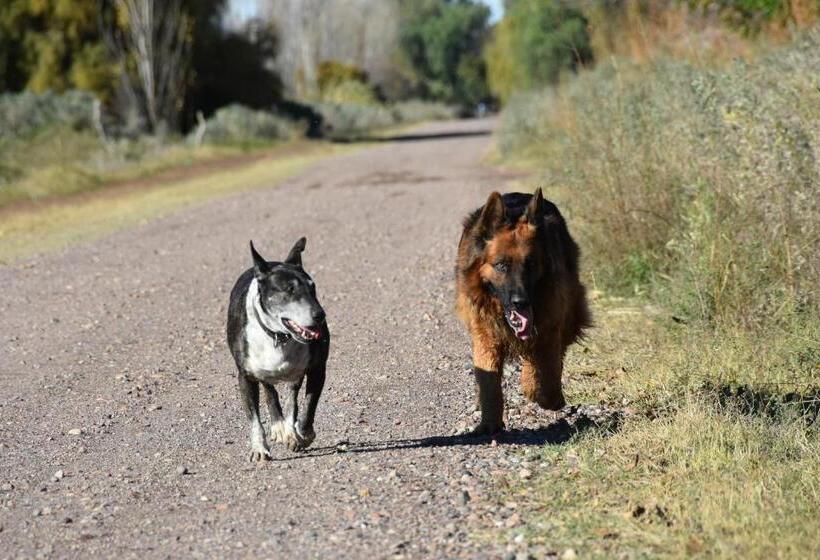 ホテル Finca La Celestita
