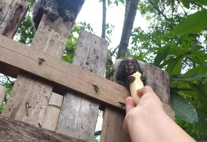 Majatalo Pousada Recanto Do Sagui