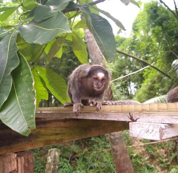 ペンション Pousada Recanto Do Sagui