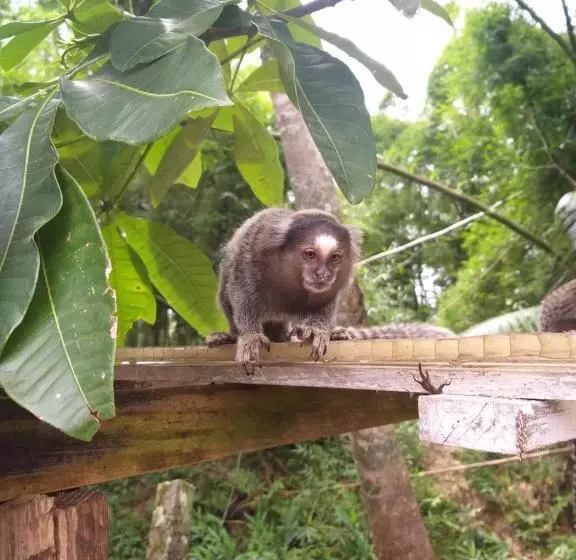 Majatalo Pousada Recanto Do Sagui