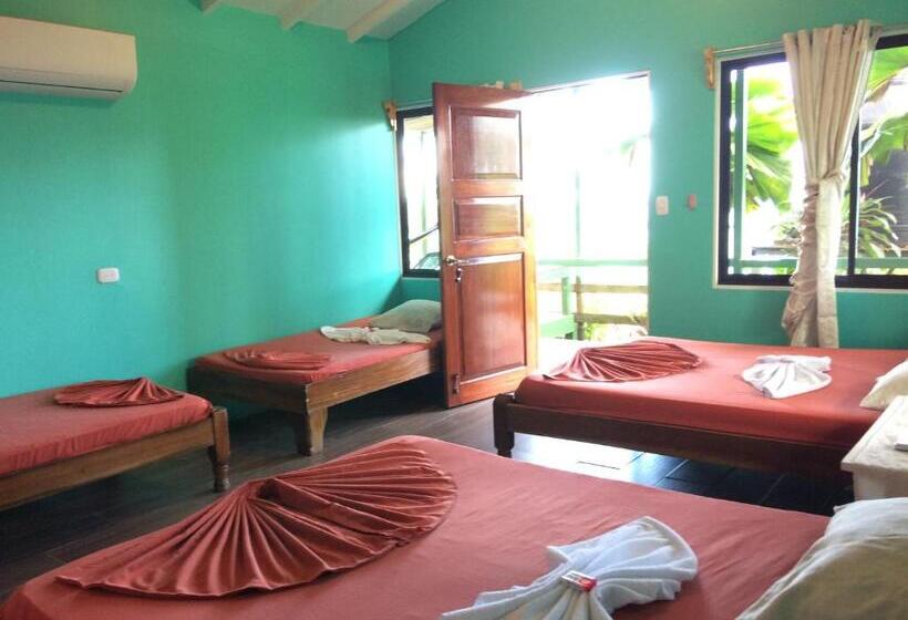 هاستل Casa Jade