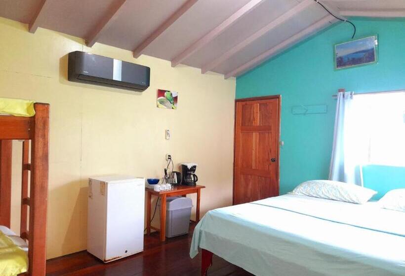 هاستل Casa Jade