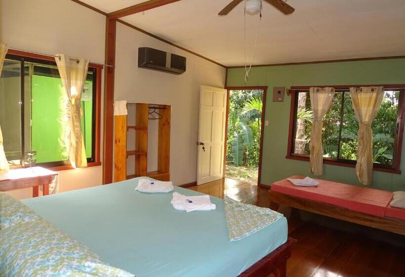 هاستل Casa Jade