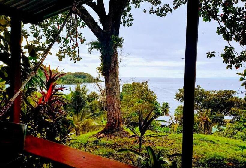 هاستل Casa Jade