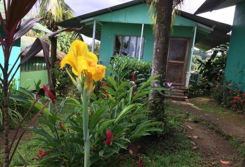 هاستل Casa Jade