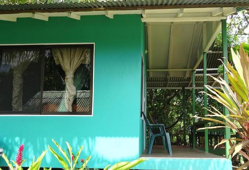 هاستل Casa Jade