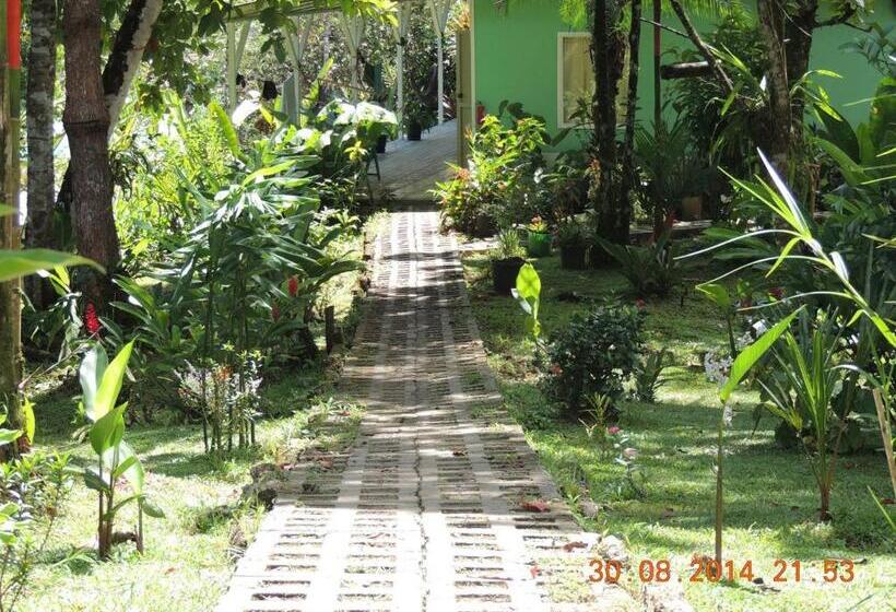 هاستل Casa Jade