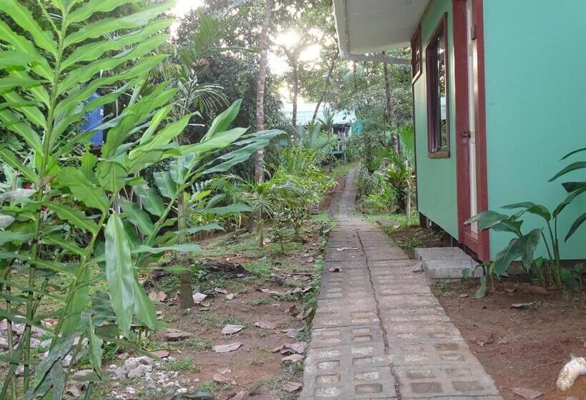 هاستل Casa Jade