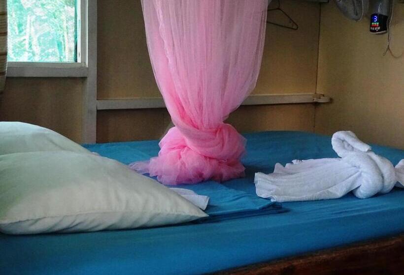 هاستل Casa Jade