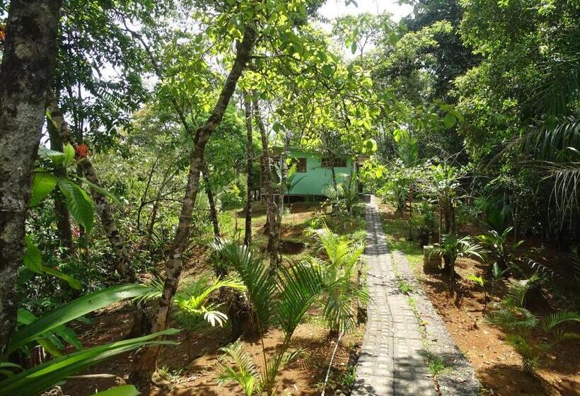 هاستل Casa Jade