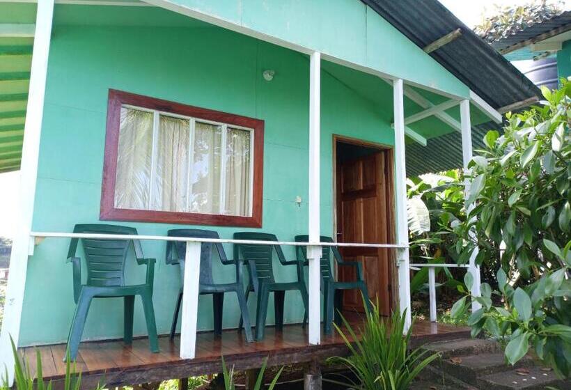 هاستل Casa Jade