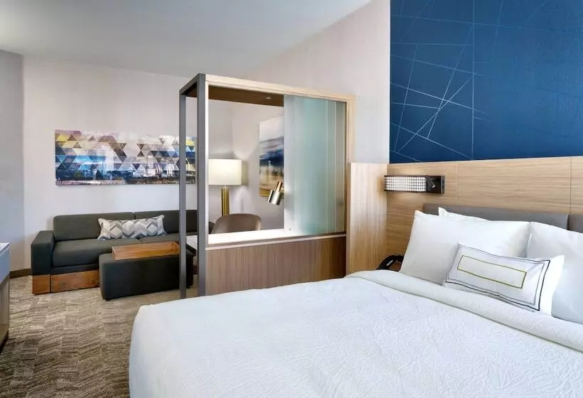 ホテル Springhill Suites By Marriott Salt Lake City West Valley