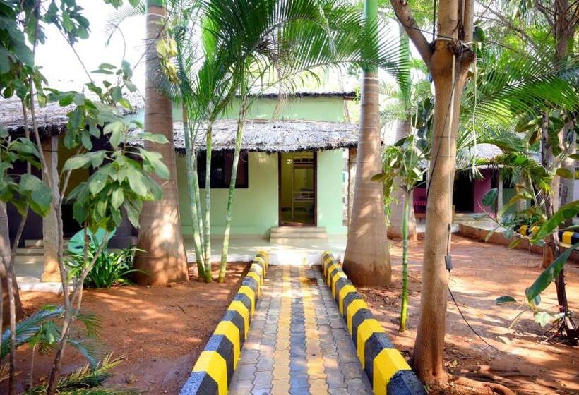 Megha Resort , Hampi