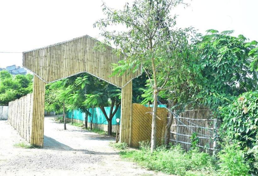 Megha Resort , Hampi