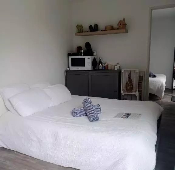 ペンション Studio De Jardin Le Temps D Une Pause Jusqu à 4 Personnes En Face Du Beaujolais   Climatisation Et B