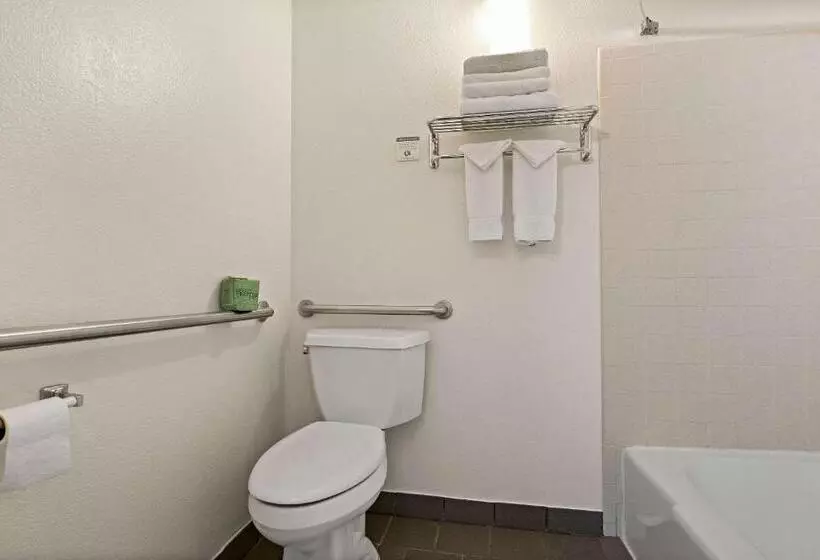 ホテル Rodeway Inn