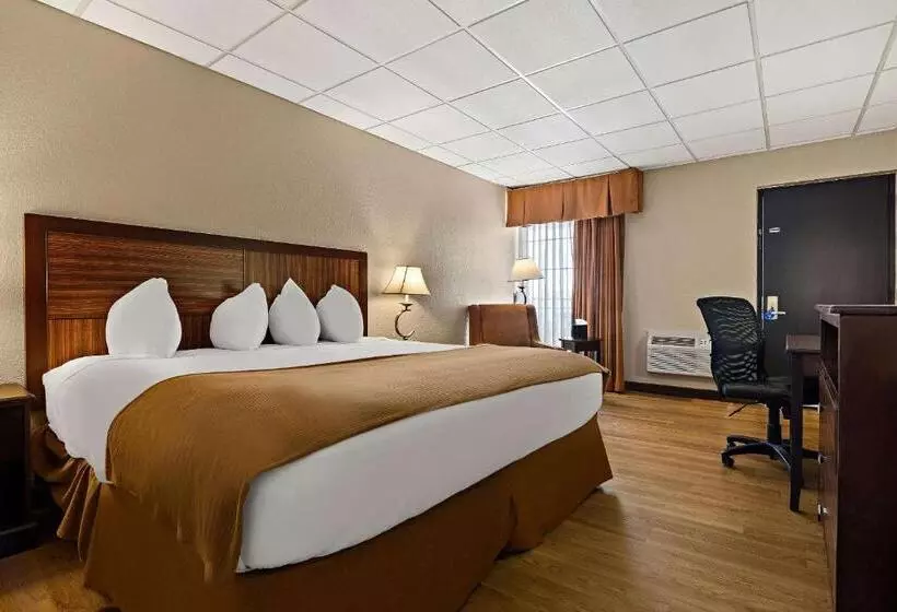 ホテル Rodeway Inn