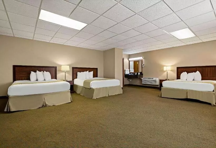 ホテル Rodeway Inn