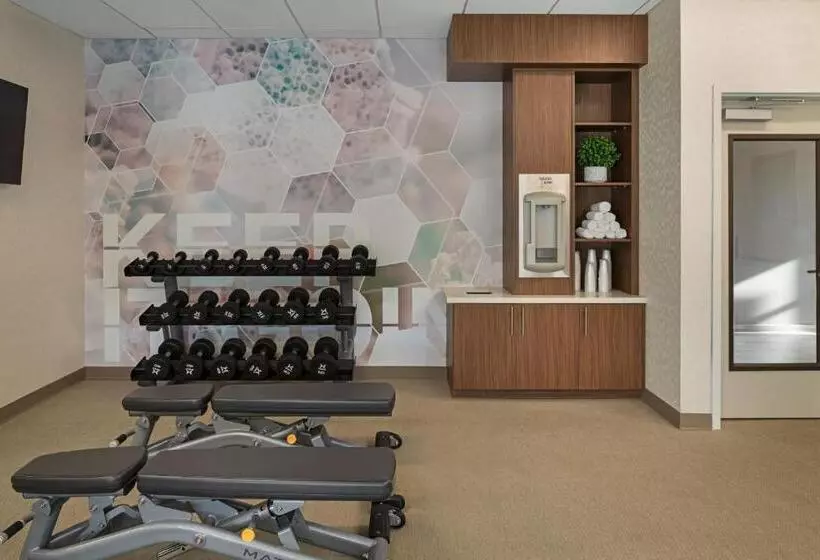 ホテル Springhill Suites By Marriott West Sacramento